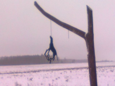 Nuotrauka0494.jpg