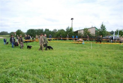 DSC_1154 2014.08.30.jpg